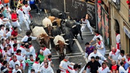 испанская забава - бег быков по улицам города