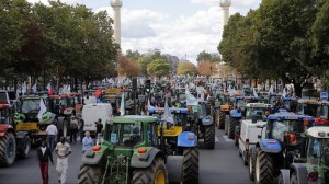 протест французских фермеров