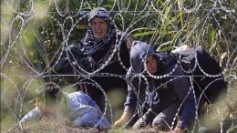 сирийские беженцы во франции