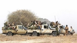 Солдаты республики Чад были убиты в результате атаки Боко Харам