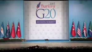 Кошки на саммите G20